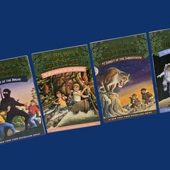 Set 3A: Magic Tree House A Library of Books 1-28 – Mary Pope Osborne Collection