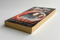 Buffy the Vampire Slayer Wicked Willow II Shattered Twilight 2004 Navarro