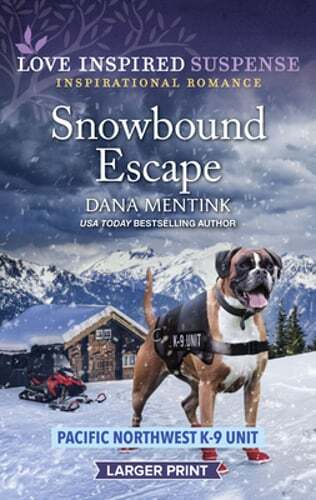 Snowbound Escape by Dana Mentink: Used