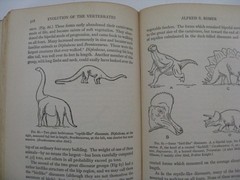 THE NATURE OF THE WORLD AND OF MAN -1933 Scientists of the University of Chicago