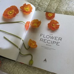 Set/2 The Flower Recipe Book The Plant Recipe 100 Floral Seasonal Arrangements