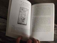 New-The Whimsical Tarot Book Only-Factory Sealed-New condition