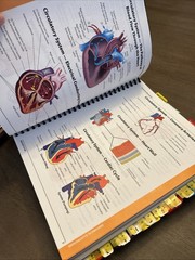 ICD-10-CM Complete Code Set 2025 – Spiral-bound, by AAPC – Good