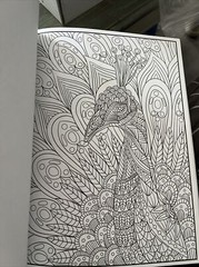 Cra-Z-art Timeless Creations Coloring Book, Wild at Heart, 64 pages