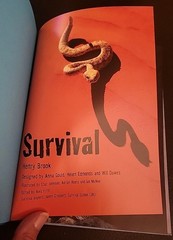 Lot Of 2 Usborne Henry Brook Books Spying & Survival 80 Pages Each 8 1/4″ X 6″