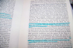USED!! The Compact History of the Catholic Church by Dr. Alan Schreck, FREE SH!!