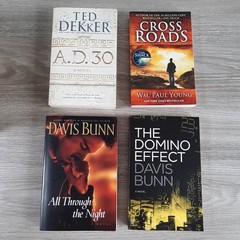 Christian Fiction Lot of 10 Trade Paperbacks Ted Dekker Wm. Paul Young Davis