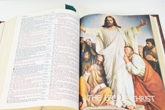 Holy Bible NKJV Red Family Edition Leather1985 Nelson 255BGCE 11.5×8.5×2 Inches