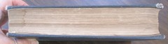 Antique 1891 1st Edition SEAS & LANDS by Sir Edwin Arnold BEAUTIFUL PHOTOS!