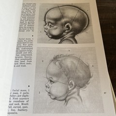 Drawing the Human Head – Paperback By Hogarth, Burne – VERY GOOD