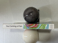 The Coming of Tan by Riley Martin & O-Qua Tangin Wann Paper Back