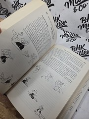Aikido and the Dynamic Sphere: An Illustrated Introduction