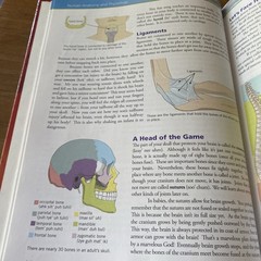 Exploring Creation with Human Anatomy and Physiology (Young Explorer Series)