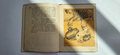 1935 Soviet Russian Children’s Book Bobkin Day Walter Emanuel Cecil Aldin USSR