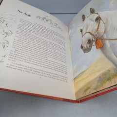 Album of Horses: 1978 23rd Printing Rand McNally Hardcover by Marguerite Henry