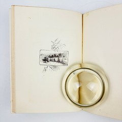 Rip van Winkle Washington Irving Decorative Binding Illustrated Gilt Page Edges