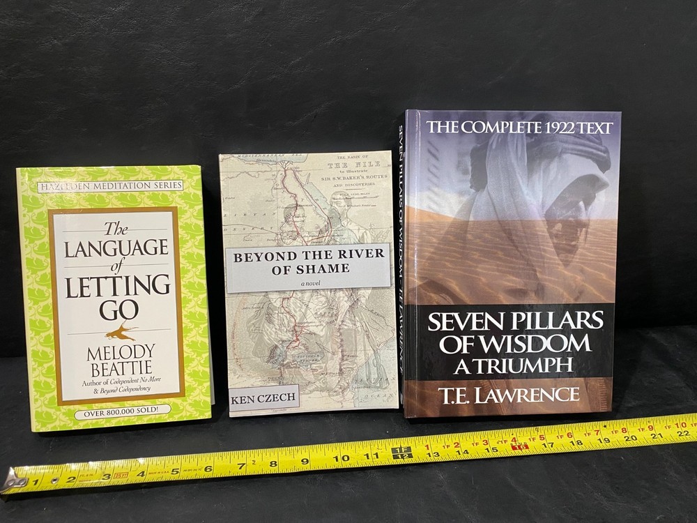 The Language of Letting Go Beyond the River of Shame Seven Pillars of Wisdom