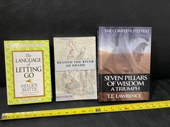 The Language of Letting Go Beyond the River of Shame Seven Pillars of Wisdom
