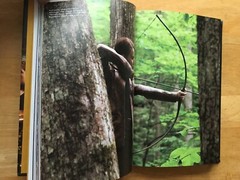 The World of the Hunger Games (Hardcover)