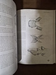 Mythical Beasts: An Artist’s Field Guide to Designing Fantasy Creatures 3dtotal