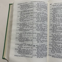 New World Translation Of The Holy Scriptures Green Watchtower Bible Vintage 1961