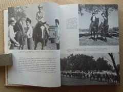 Saddle Up by Charles E. Ball