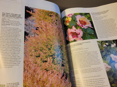 Fine Gardening Magazine -Spring 2026 Issue-Smart Ways to Refresh a Mature Garden