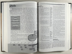 KJV Prophecy Study Bible Hardcover Tim LaHaye AMG Publishers Red Letter Like New