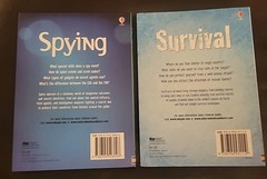 Lot Of 2 Usborne Henry Brook Books Spying & Survival 80 Pages Each 8 1/4″ X 6″