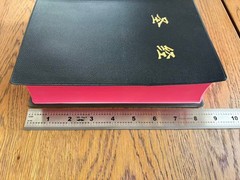 Catholic Chinese Bible Studium Biblicum 思高圣经 天主教 简体中文大字 25K 红边 US Stock 美国本土包邮发货