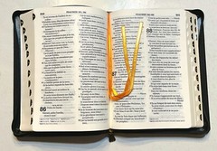 French Large Print Compact Bible, Zipper, Imitation Leather, Segond 1910, LT