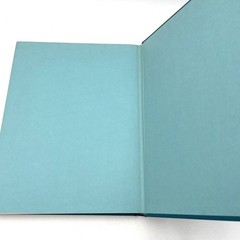 The Ayn Rand Letter Volumes I-IV 1971-1976 1st Print 1979 (+ Extras)