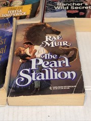 Vintage Romance Novels Lot Of 11 1980’s 1990’s 2000’s Paperback Books Lot Sultry
