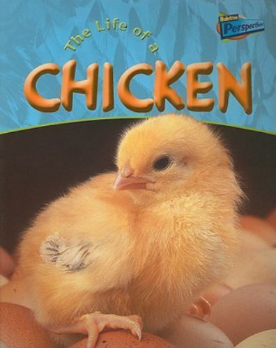 The Life of a Chicken by Hibbert, Clare
