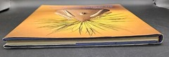Art of Grace and Passion Antique American Indian Art Book Coffee Table HCDJ