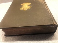 Smithsonian 3rd Annual Ethnology 1881 1882 Masks Maya Navajo Omaha Pottery Illus