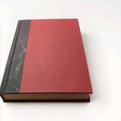 Notorious by Michele Martinez, HarperCollins 2008 HC 1st Ed w/ Dust Jacket