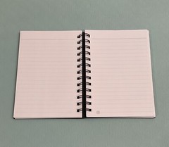 Gratitude journal Black With Green Embellishment 7.2in By 5.25in NEW