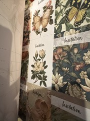 PAPER PAPER PAPER The Floral Riot COLLECTION BOOK 180 Pages Create Craft 2025