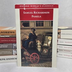 Classic Literature Paperback Lot Austen Defoe Fielding Swift Sterne Richardson H