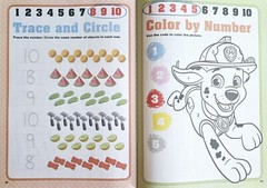 Paw Patrol Pre-K Workbook set of 4 Alphabet Counting Shapes Healthy Heroes