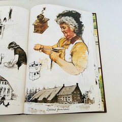 The Farm Book by Rien Poortvliet HCDJ Illustrated Animals Farm Life 1997