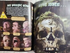 The Book of Bill Gravity Falls B&N Exclusive Edition Alex Hirsch Book Brand New