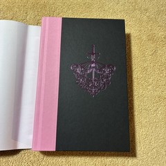 The Knight and the Moth by Rachel Gillig TARGET EXCLUSIVE EDITION