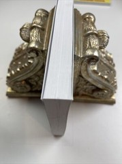 You Can’t Do That! Yes I Can! Paperback Michael, Sr. Attardi
