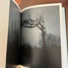 PRESENT Stefan VanVleteren Hardcover 496 pages English ISBN 94638