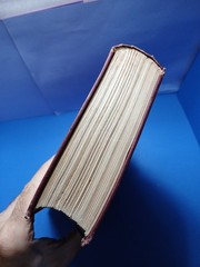 The Life and Times of Niccolo Machiavelli Vol. 2 Book 1891 Volume II Padquale