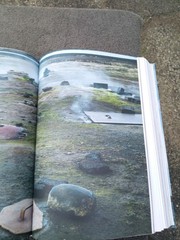 Phaidon THE NORDIC COOKBOOK HC Magnus Nilsson Clean Pages Great Recipes~