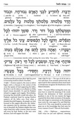 Artscroll Hebrew English Deluxe Interlinear Pocket Size Siddur &Tehillim Set