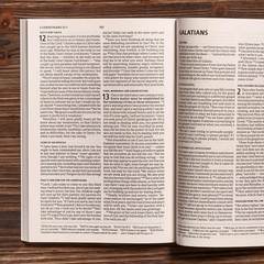 Here’s Hope New Testament: Christian Standard Bible